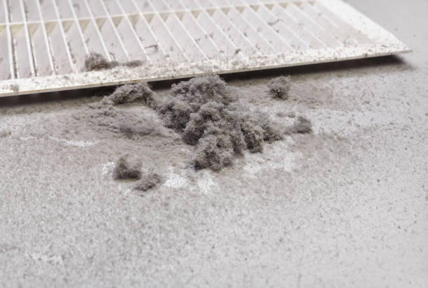 Best Affordable Duct Cleaning Services  in Oakland, OR